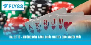Bài Xì Tố - Hướng Dẫn Cách Chơi Chi Tiết Cho Người Mới