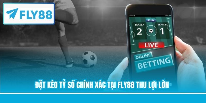 Đặt kèo tỷ số chính xác tại FLY88 thu lợi lớn
