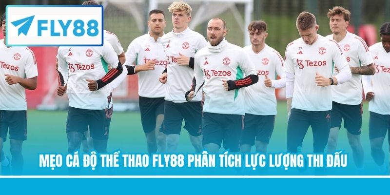 Mẹo cá độ thể thao FLY88 phân tích lực lượng thi đấu