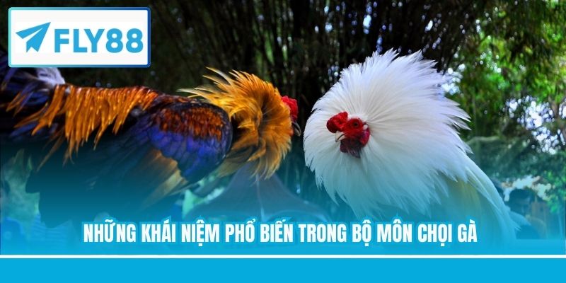Những khái niệm phổ biến trong bộ môn chọi gà