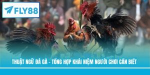 Thuật Ngữ Đá Gà - Tổng Hợp Khái Niệm Người Chơi Cần Biết