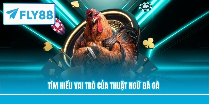 Tìm hiểu vai trò của thuật ngữ đá gà