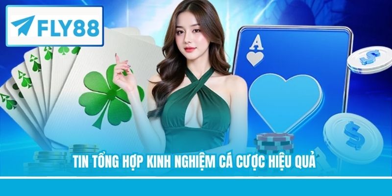 Tin tổng hợp kinh nghiệm cá cược hiệu quả