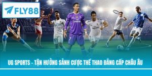UG Sports - Tận Hưởng Sảnh Cược Thể Thao Đẳng Cấp Châu Âu